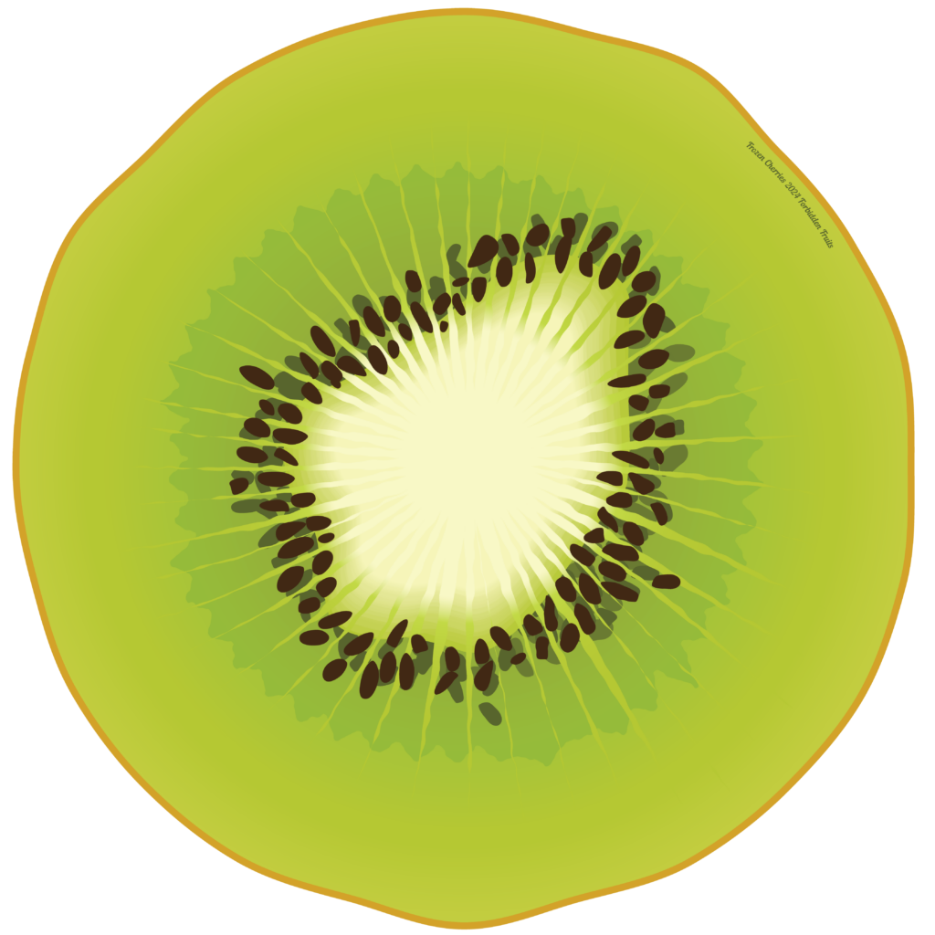 Frozen Cherries 2024 kiwi disc design