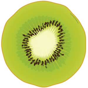 Frozen Cherries 2024 Kiwi disc Frozen Cherries 2024 Kiwi disc design