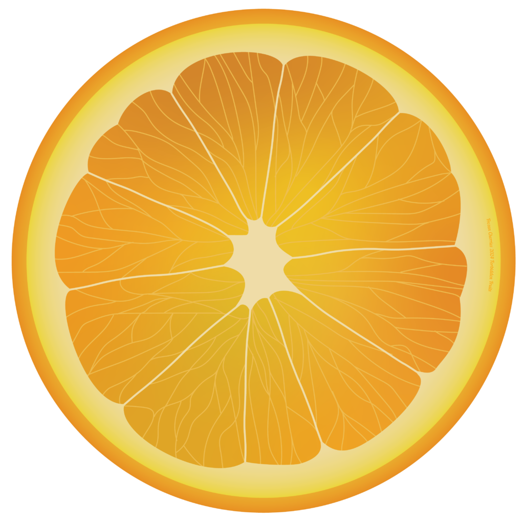 Frozen Cherries 2024 orange disc design